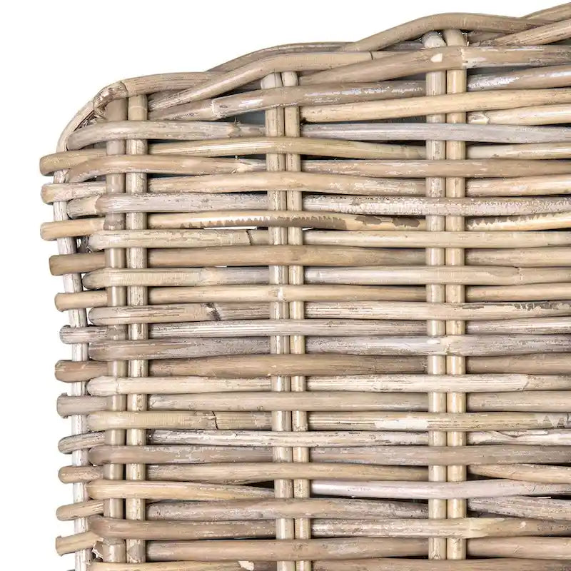 Natural Rattan Cushioned Dining Chairs by  (Set of 2)