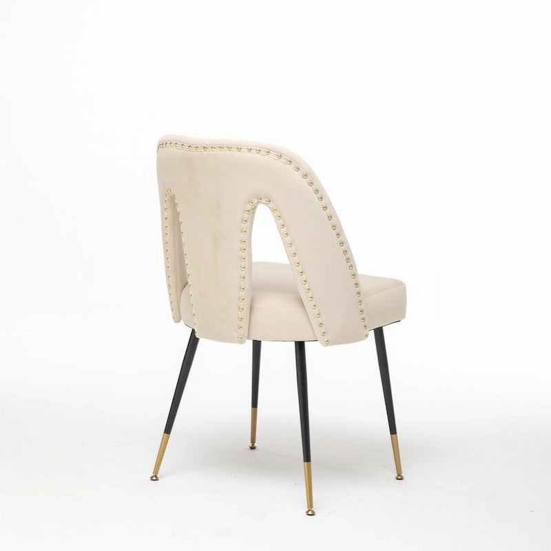 Set of 2 Modern & Contemporary Upholstered Dining Chairs with Nailheads and Metal Legs