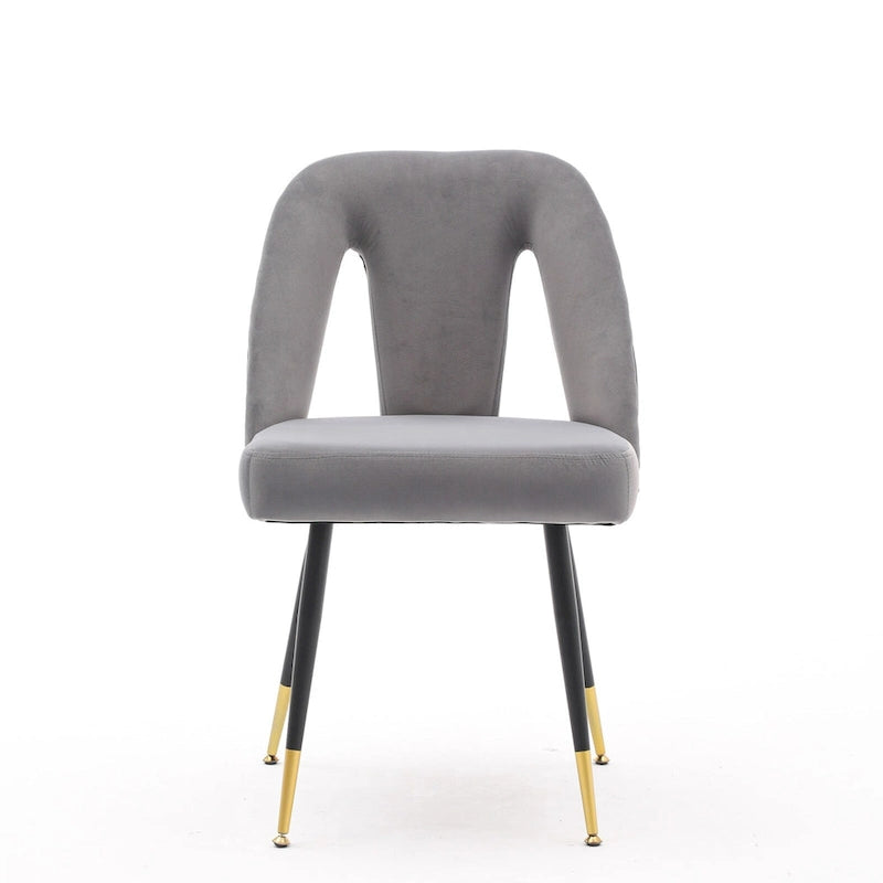 Set of 2 Modern & Contemporary Upholstered Dining Chairs with Nailheads and Metal Legs